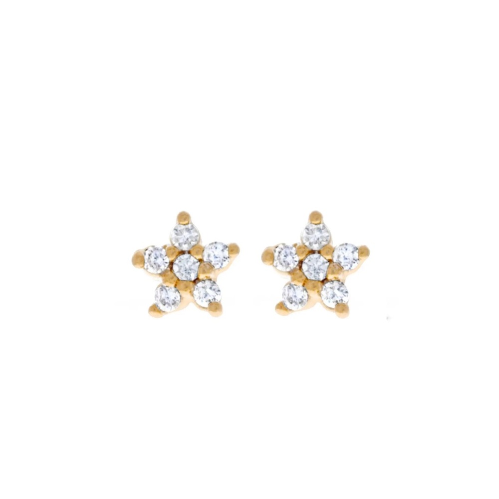 Gold Star Stud Earrings